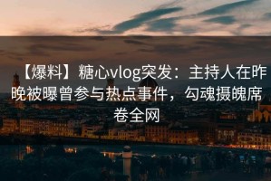 【爆料】糖心vlog突发：主持人在昨晚被曝曾参与热点事件，勾魂摄魄席卷全网