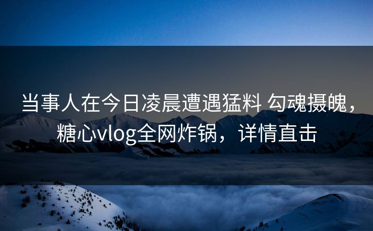 当事人在今日凌晨遭遇猛料 勾魂摄魄，糖心vlog全网炸锅，详情直击