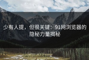 少有人提，但很关键：91网浏览器的隐秘力量揭秘